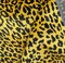 1 Yard Upholstery Jacquard Velvet Fabric Leopard Black Gold Luxury 82% Viscose 18% Polyester 56 Inch Width